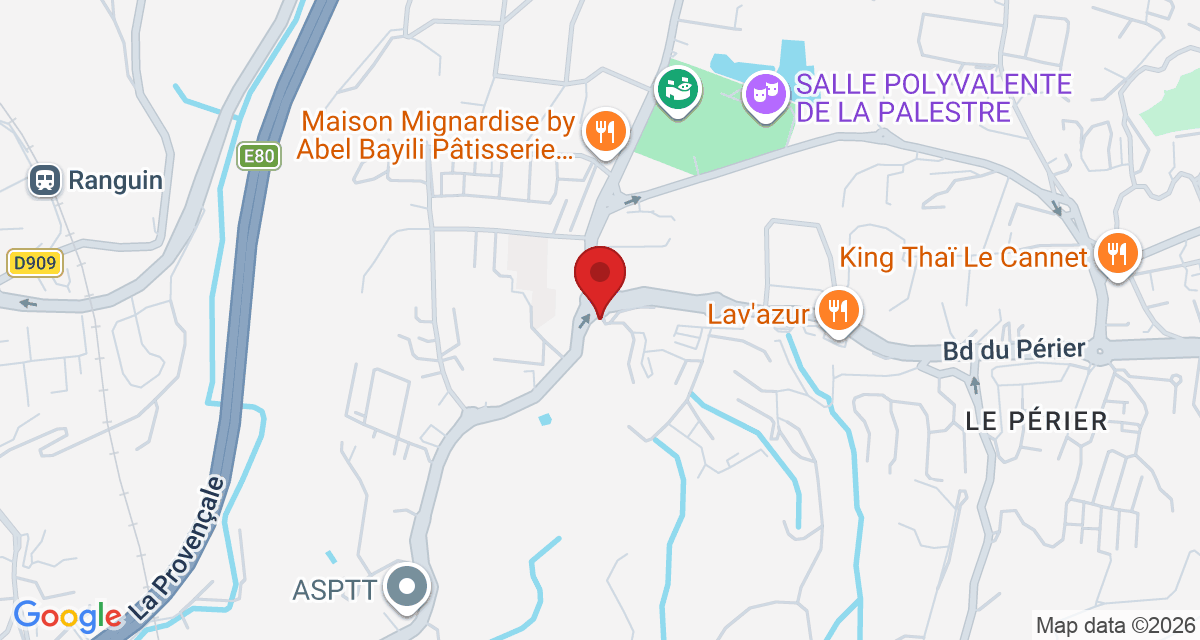Carte de localisation Savelys Cannes