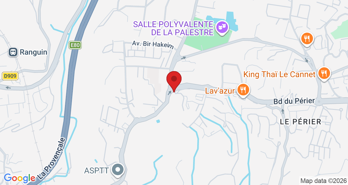 Carte de localisation Savelys Cannes
